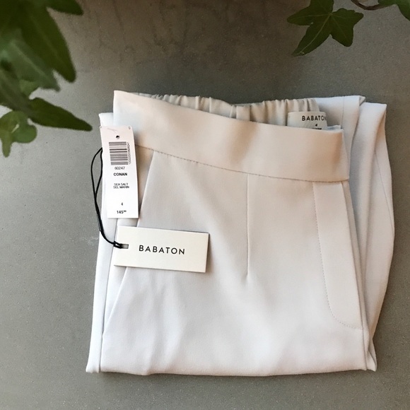 Aritzia Pants - Aritzia Conan Pant in Sea Salt